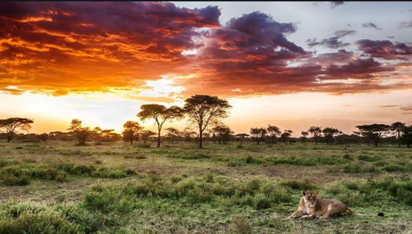 Tanzania mission near Serengeti