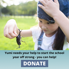 Young asian girl examining a beetle in a field